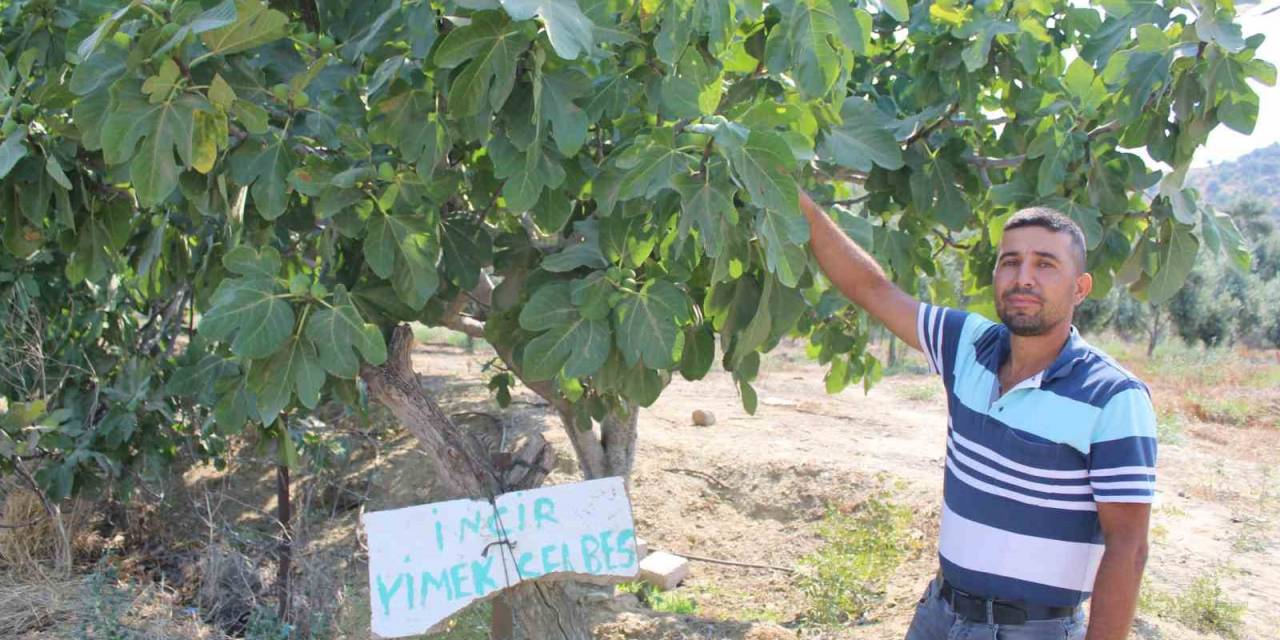 Bahçesine Öyle Bir Not Astı Ki, Gören Şaşırdı Kaldı