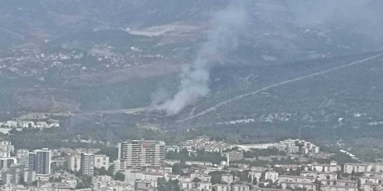 İzmir’de İkinci Orman Yangını Kontrol Altında