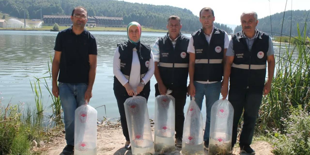 Göllere 35 Bin Yavru Balık Bırakıldı