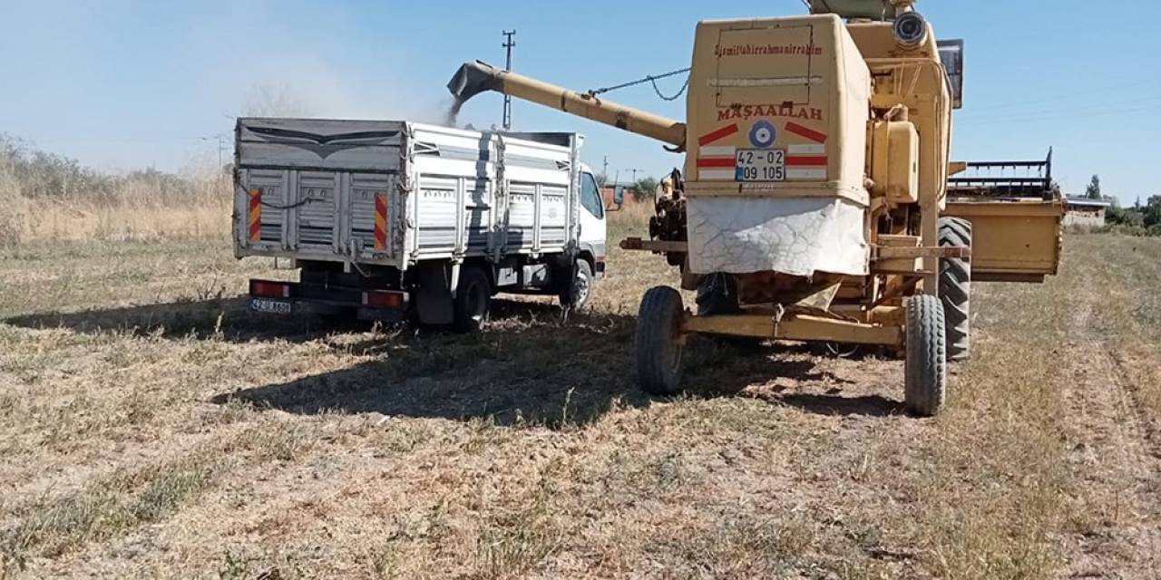 Akşehir Belediyesi Atıl Arazilerde Tarıma Başladı