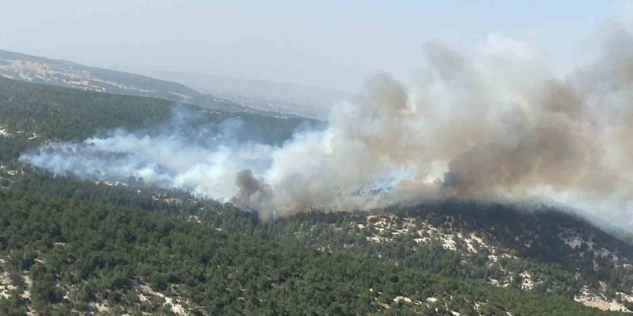 Kütahya’da Orman Yangını