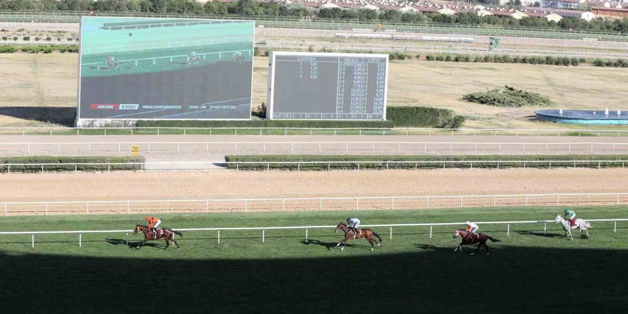 Başkanlık Koşusu’nun Kazananı Taylolo Oldu