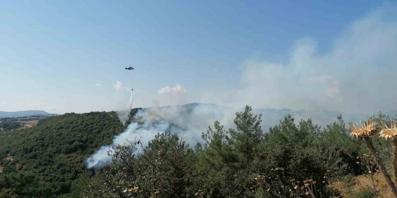 Çan’daki Orman Yangını Kontrol Altına Alındı