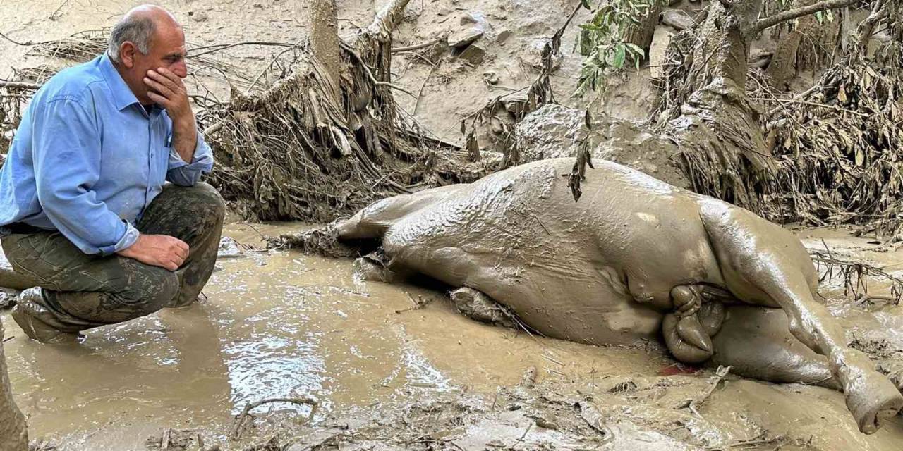 Yüksekova’da Sel Felaketi: Telef Olan Atının Başından Ayrılamadı