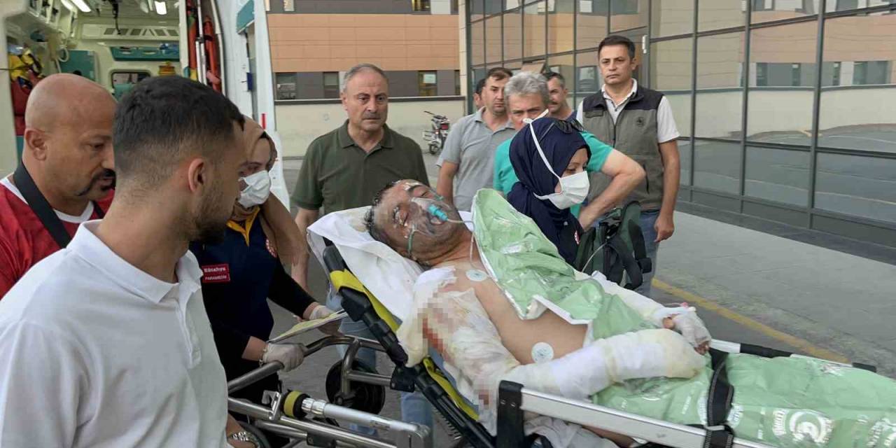 Kütahya’daki Orman Yangınında Yaralanan İşçiler Eskişehir Şehir Hastanesine Sevk Edildi