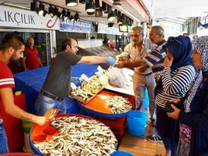 Marmara’da Palamut Bereketi
