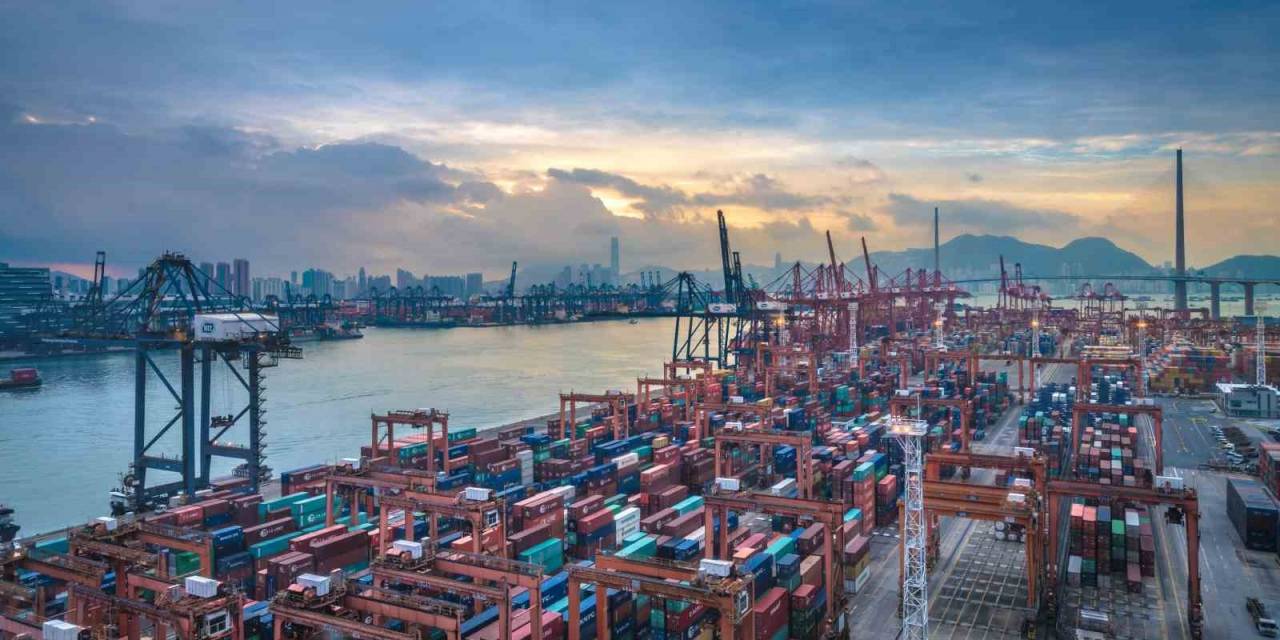 Aydın’da Son 7 Ayda 647 Bin Dolarlık İhracat Yapıldı