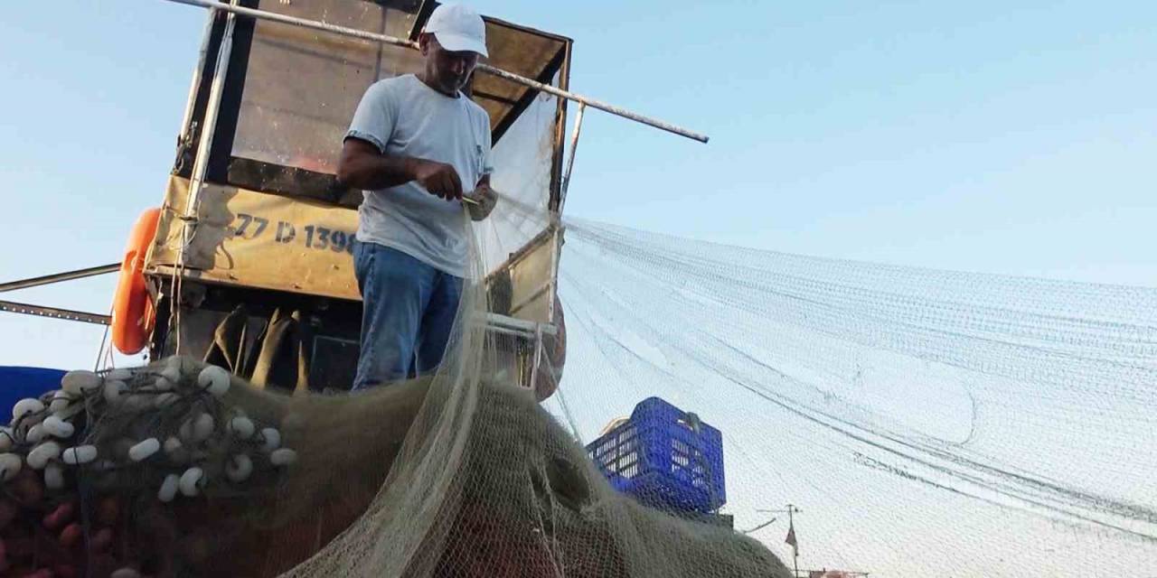 Yalova’da Balıkçıklar Hamsiden Umutlu: “Vatandaşımız Bu Yıl Mutlaka Balık Yer. Bu Sene Hamsi Bol”