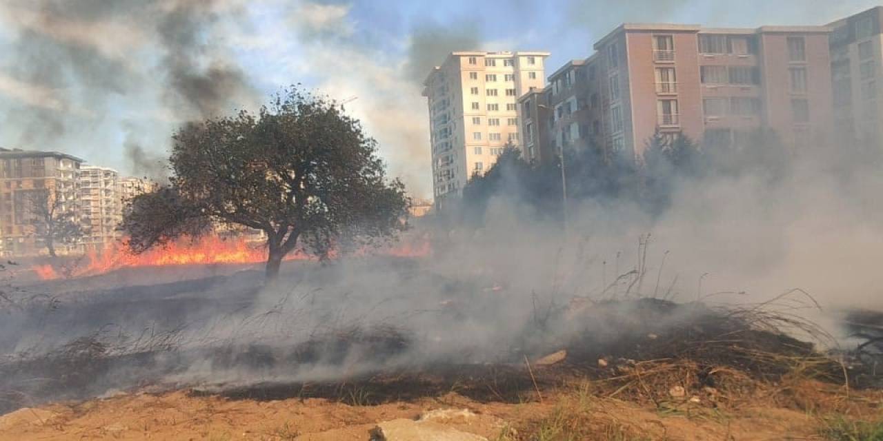 Mahalle Arasında Korkutan Yangın