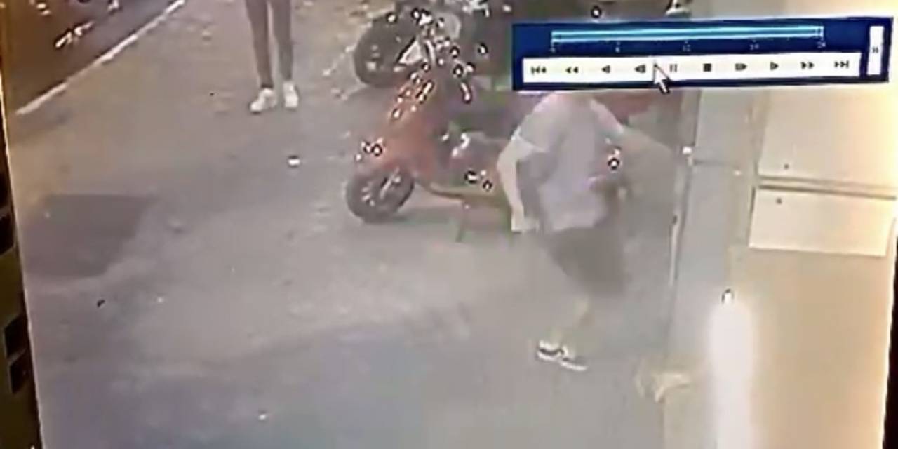 İstanbul’da Hayvana Şiddete Meydan Dayağı Kamerada: Evire Çevire Dövdü