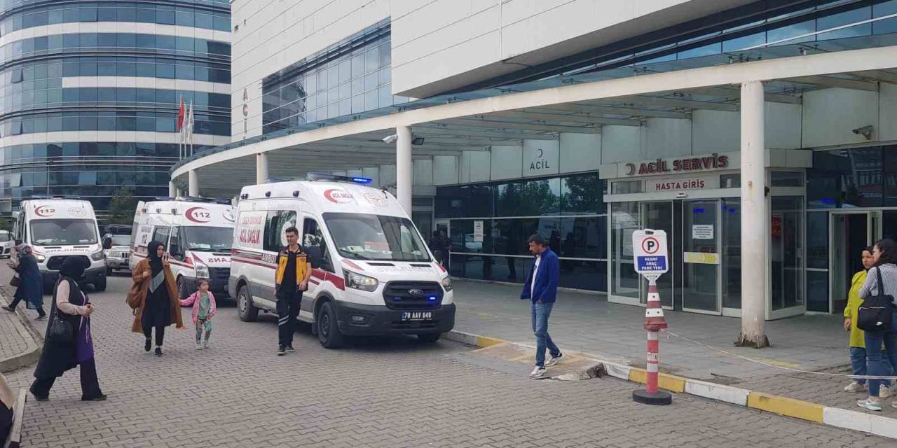 Domuz Zannettiği Yengesini Ağır Yaraladı