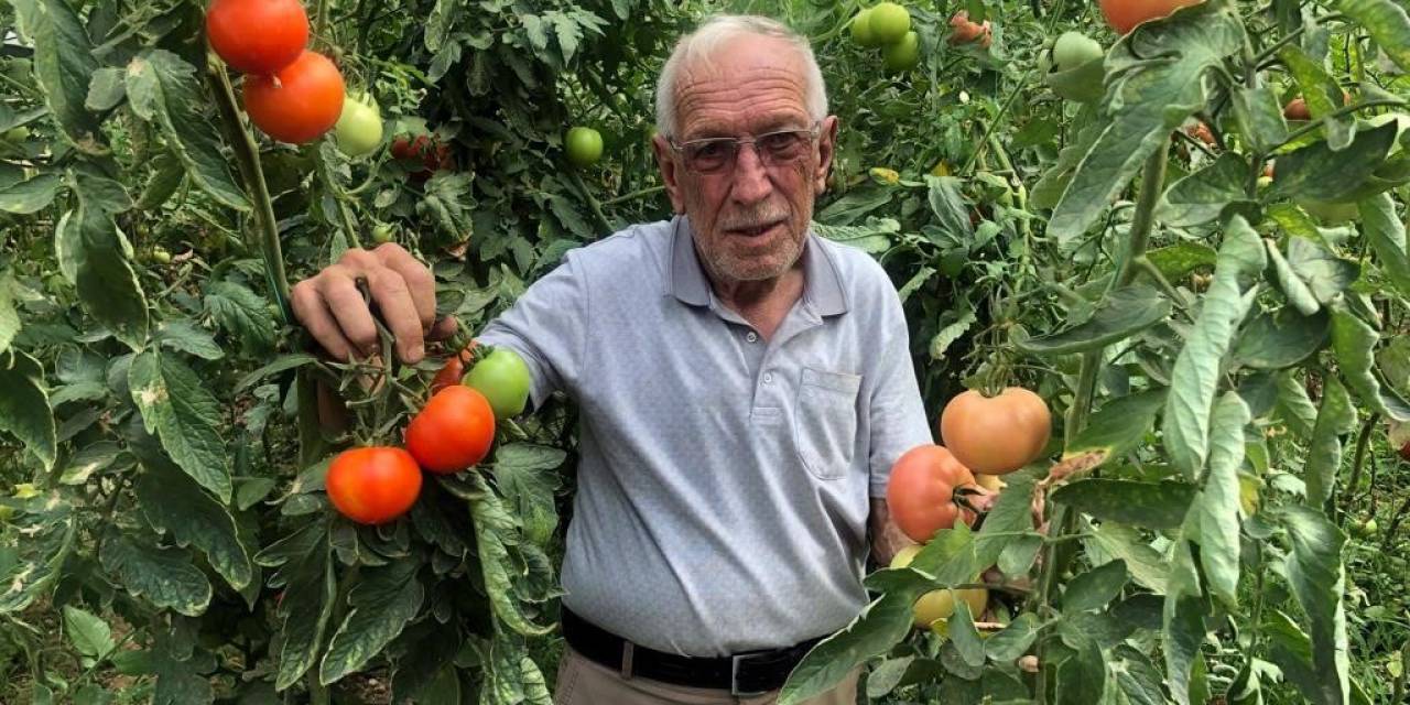 Seracılık Üreticinin Yüzünü Güldürüyor