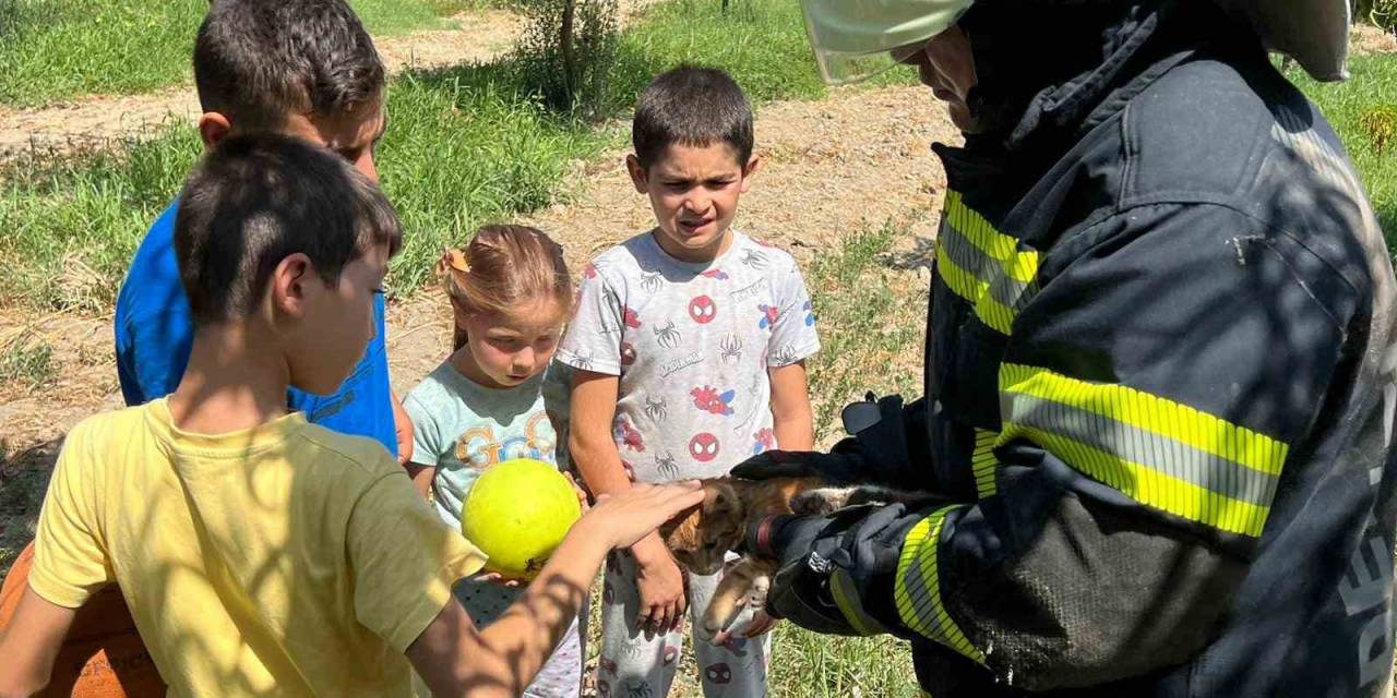 Kuyuya Düşen Kediyi Top Oynayan Çocuklar Fark Etti