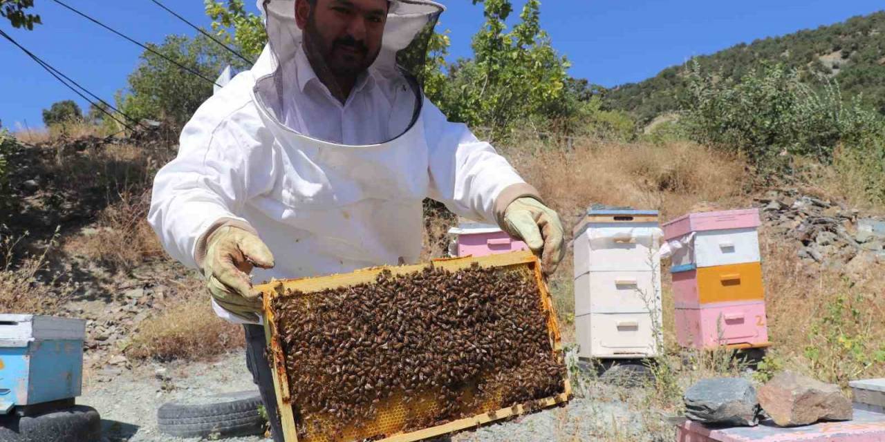 Mevsim Normallerinin Üzerindeki Sıcaklıklar Aracılığı Olumsuz Etkiliyor