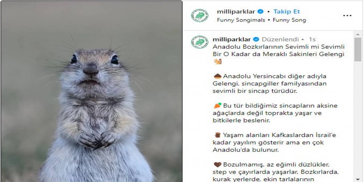 Milli Parklar’ın Anadolu Yersincabı Paylaşımı Beğeni Topladı