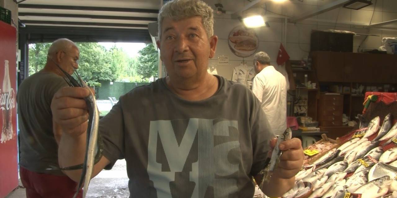 Balıkçılar Av Sezonundan Umutlu