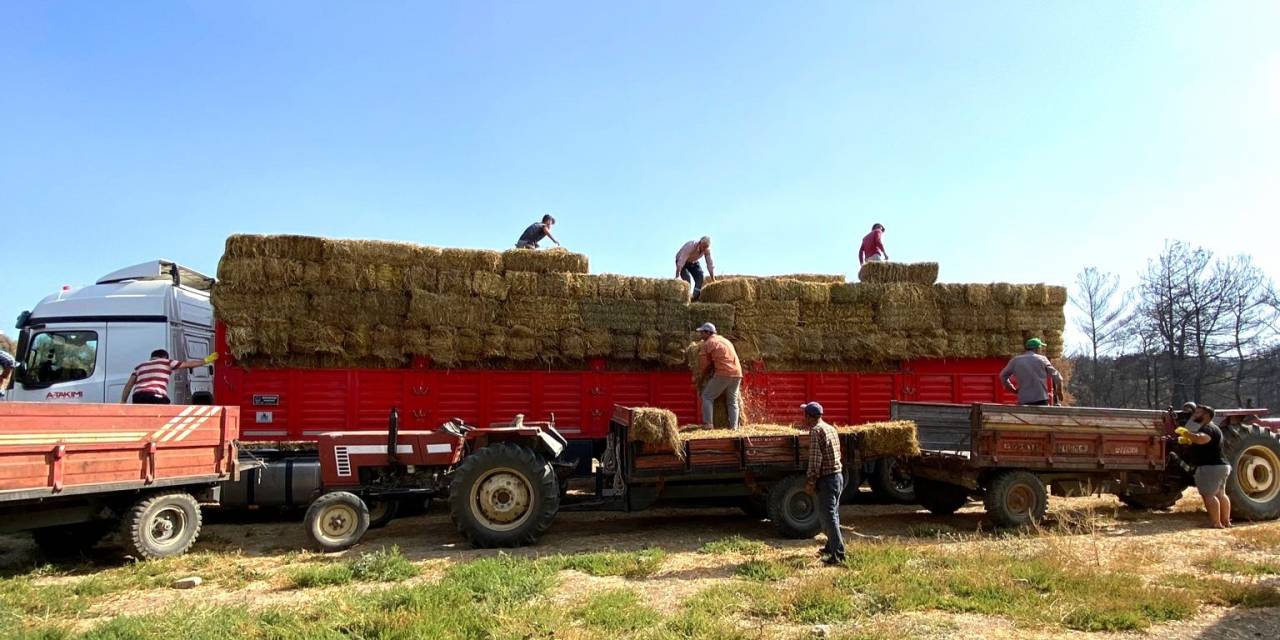 Kocaeli’den Çanakkale’deki Yangın Mağduru Çiftçilere Destek