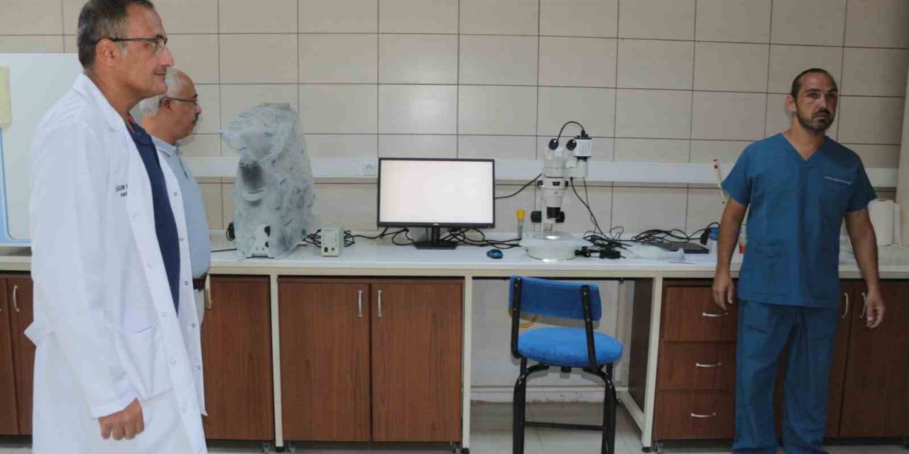 Türkiye’nin İlk Tüp Tayı Dünyaya Gelecek