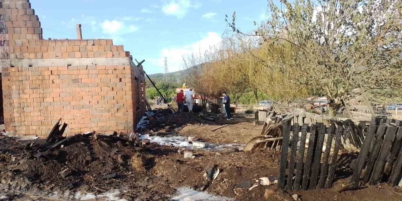 Yalova’da Yanan Ahırda 6 Küçükbaş Hayvan Telef Oldu