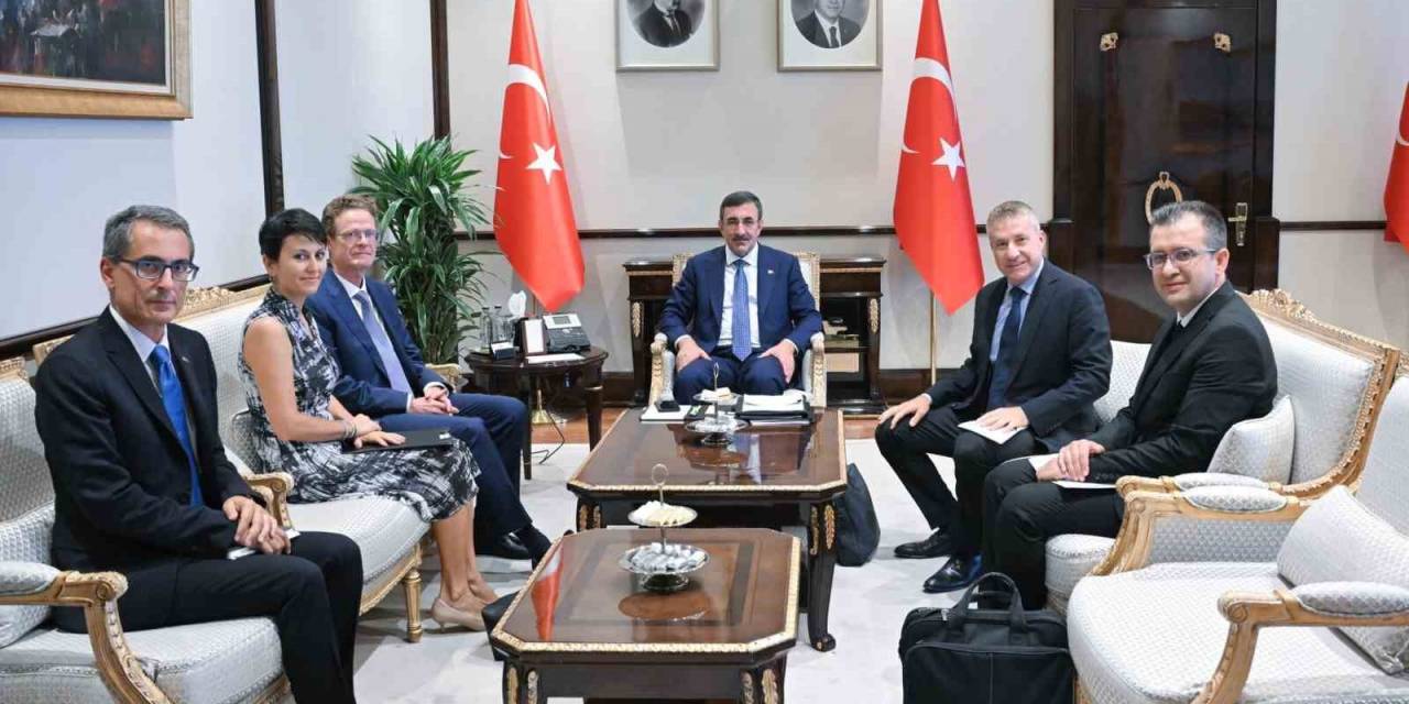Cumhurbaşkanı Yardımıcısı Yılmaz, Avrupa Birliği Türkiye Delegasyonu Başkanı İle Görüştü