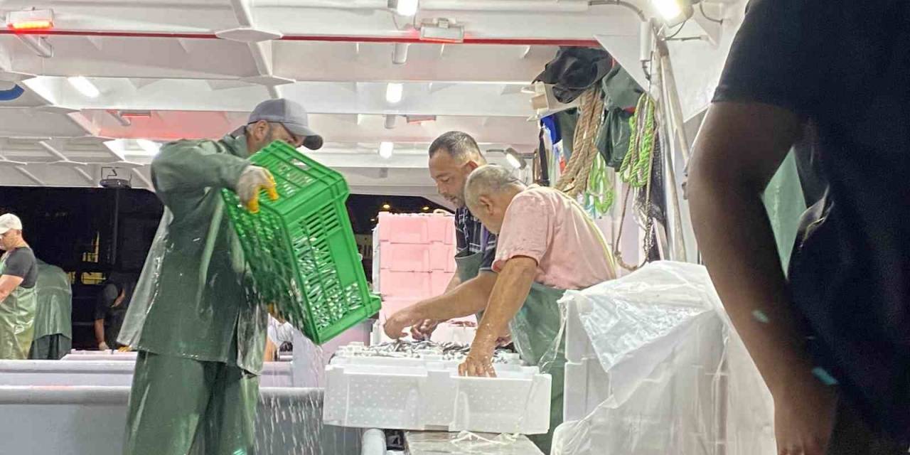 Av Yasağı Bitti, Sezonun İlk Balıkları Avlandı