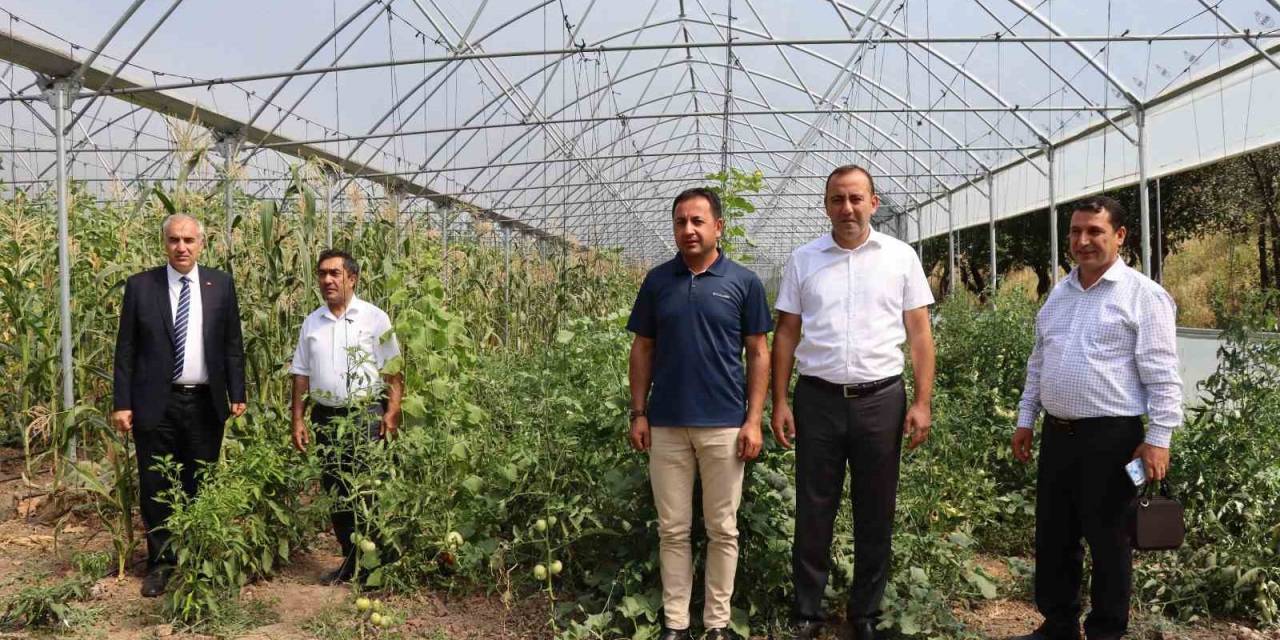 Oltu’da Devlet Destekli Seralar Çiftçilerin Yüzünü Güldürdü