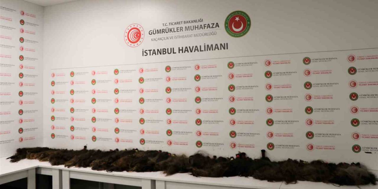 İstanbul’da İnsan Saçı Kaçakçılarına Gümrük Muhafaza Engeli