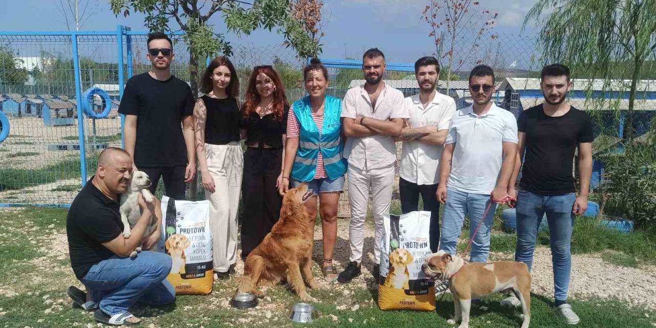 Bursalı Firmadan Sahipsiz Hayvanlar İçin Anlamlı Destek Projesi