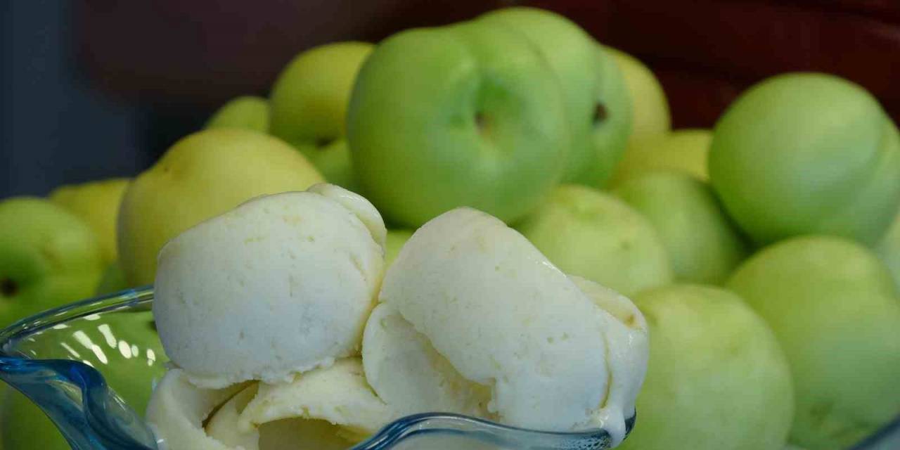 Avrupa Birliği Coğrafi İşaretli Bayramiç Beyazı’nın Dondurması Yapıldı