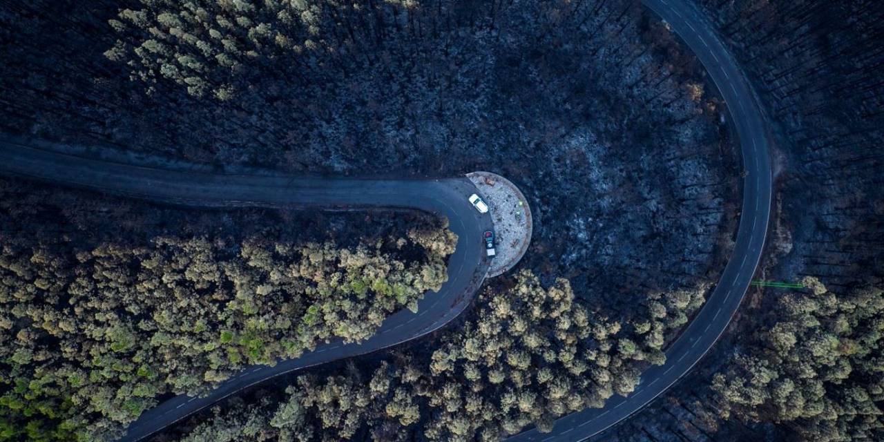 Tenerife Adası’ndaki Orman Yangının Yol Açtığı Ekonomik Kayıp 80.4 Milyon Euro