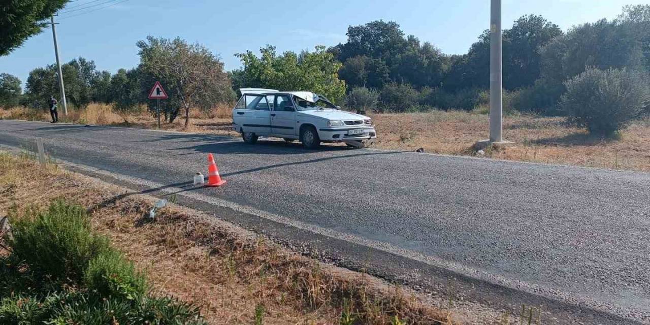 Otomobilin Çarptığı Emekli Öğretim Üyesi Hayatını Kaybetti