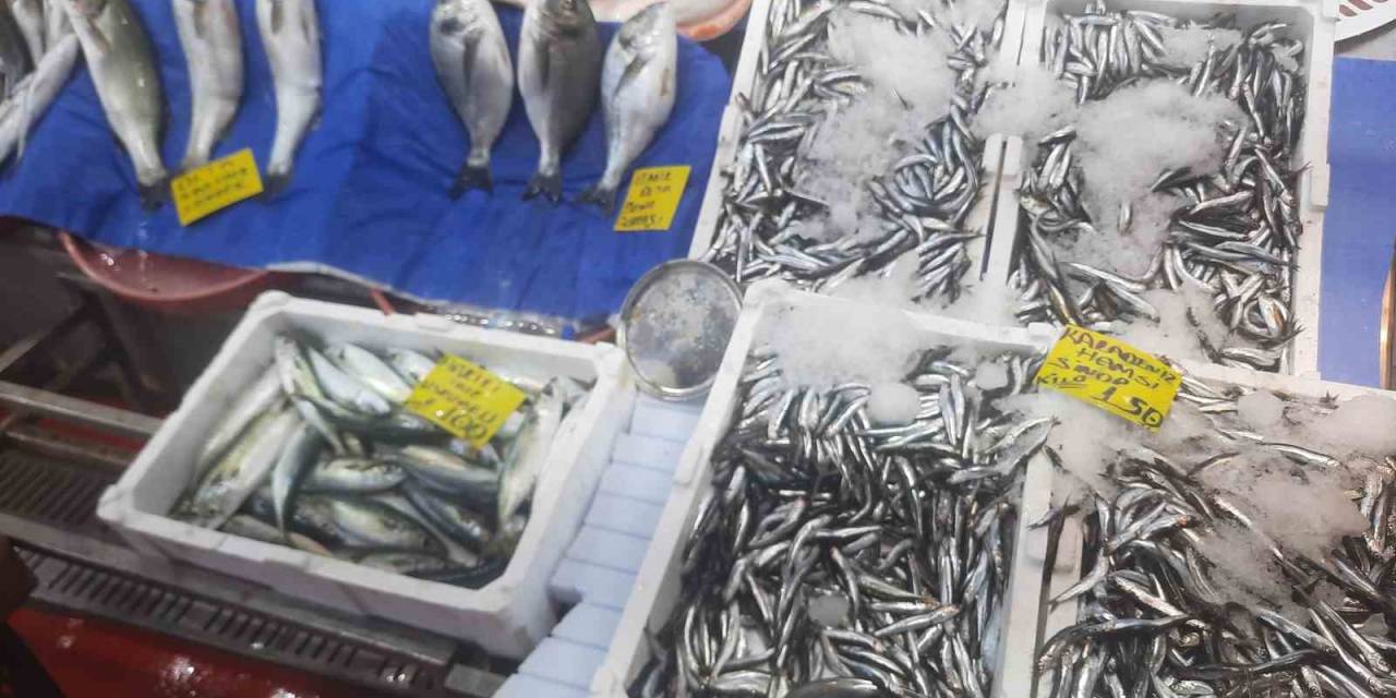 Av Yasağının Kalkmasıyla Balık Pazarlarında Tezgahlar Dolup Taştı