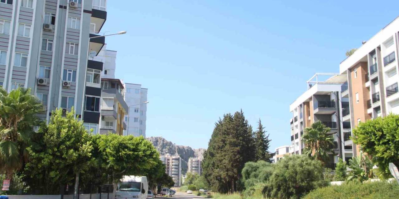 Kapılarına Dayanan Domuz Sürüsü Yüzünden Siteye Giremeyen Mahalleli Çözüm Bekliyor