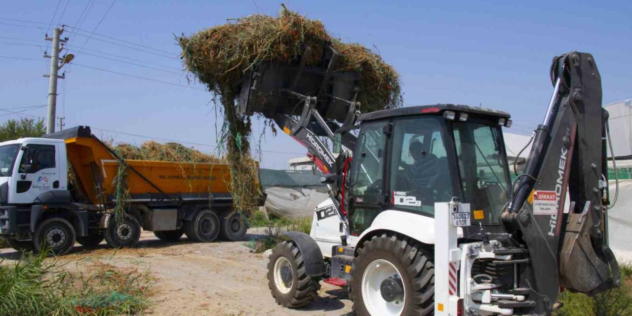Organik Atıklar Elektrik Enerjisine Dönüştürülüyor