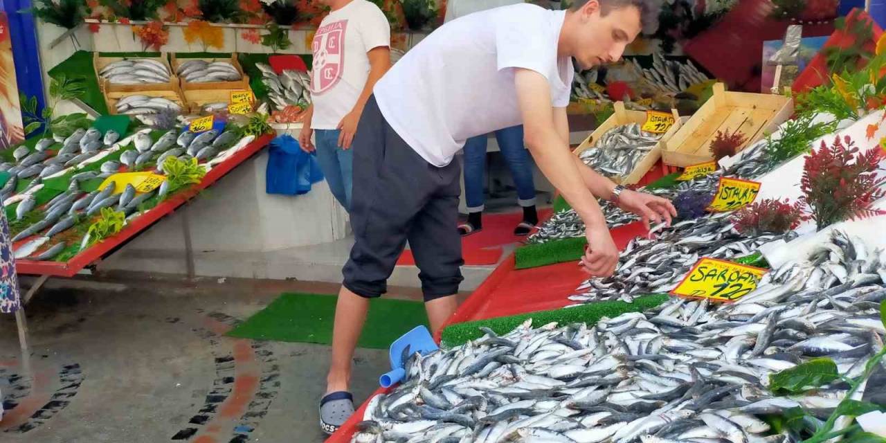 Yeni Sezonda Hamsi Ve İstavrit Bolluğu Görülebilir