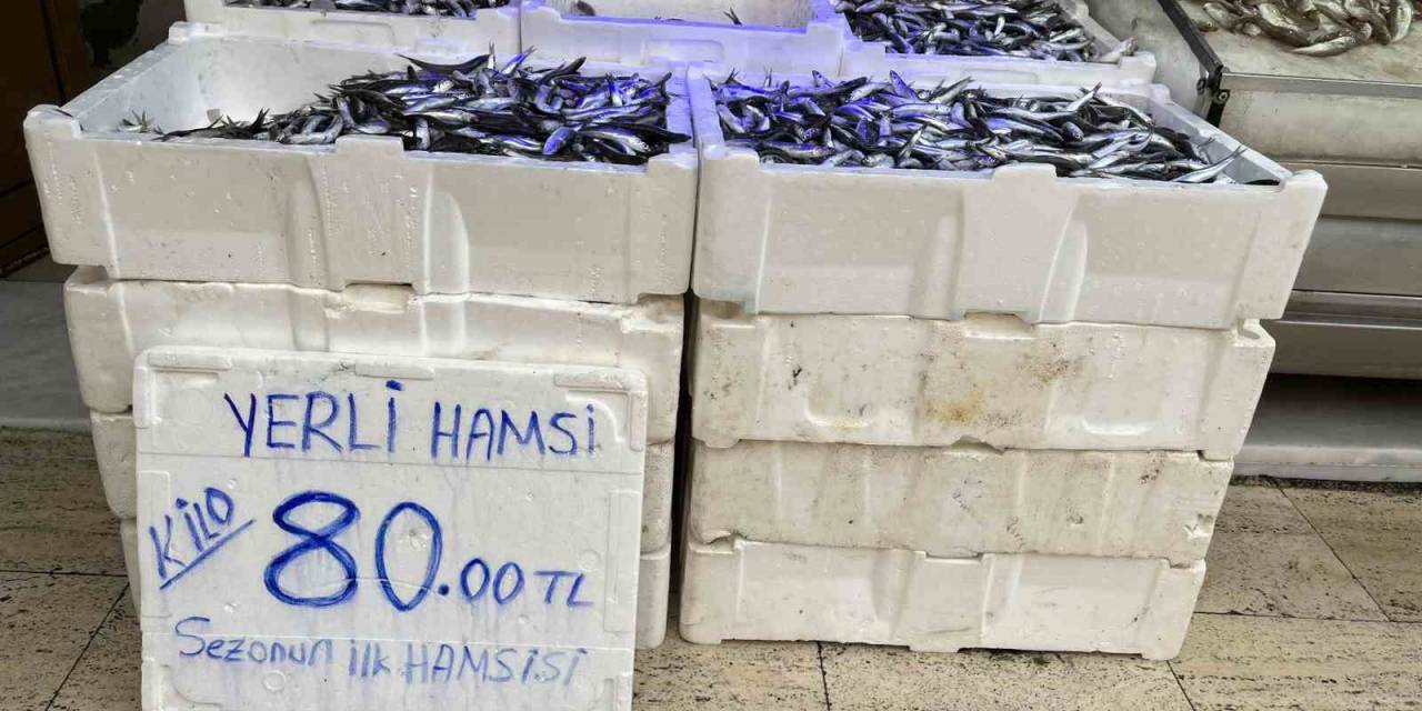 Yeni Sezon Balıkları Tezgahlarda