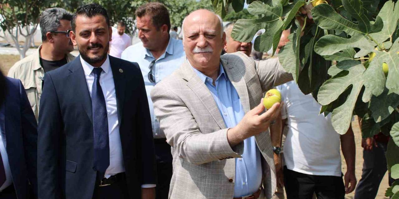 Tzob Genel Başkanı Bayraktar: “Tmo’nun Piyasaya Girmesi Sağlanmalıdır”