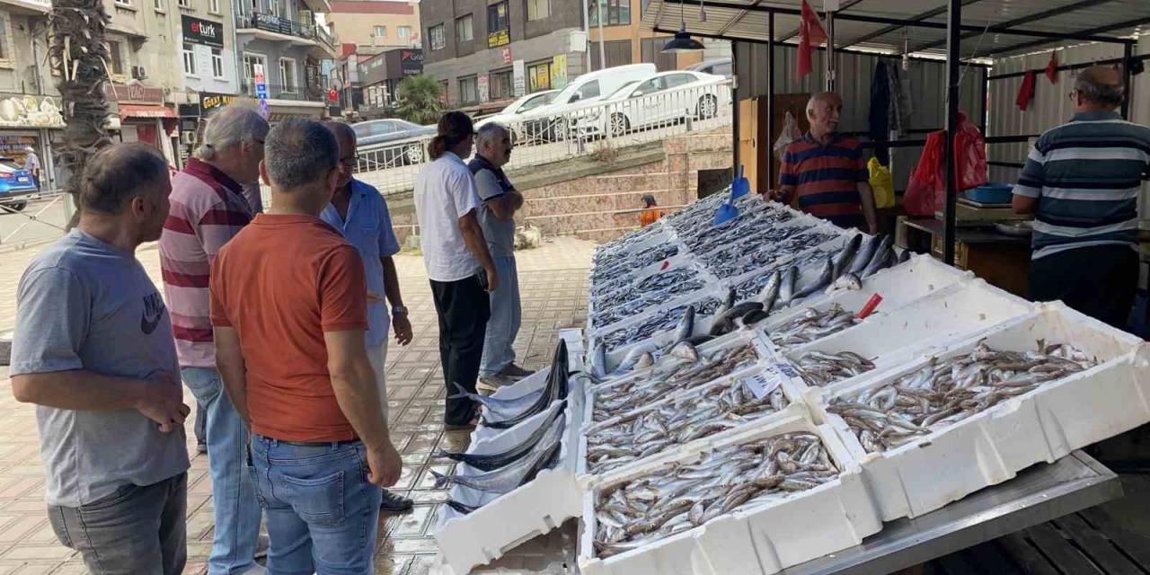 Tezgahlar Hamsiyle Doldu, Vatandaşlar İlgi Gösterdi