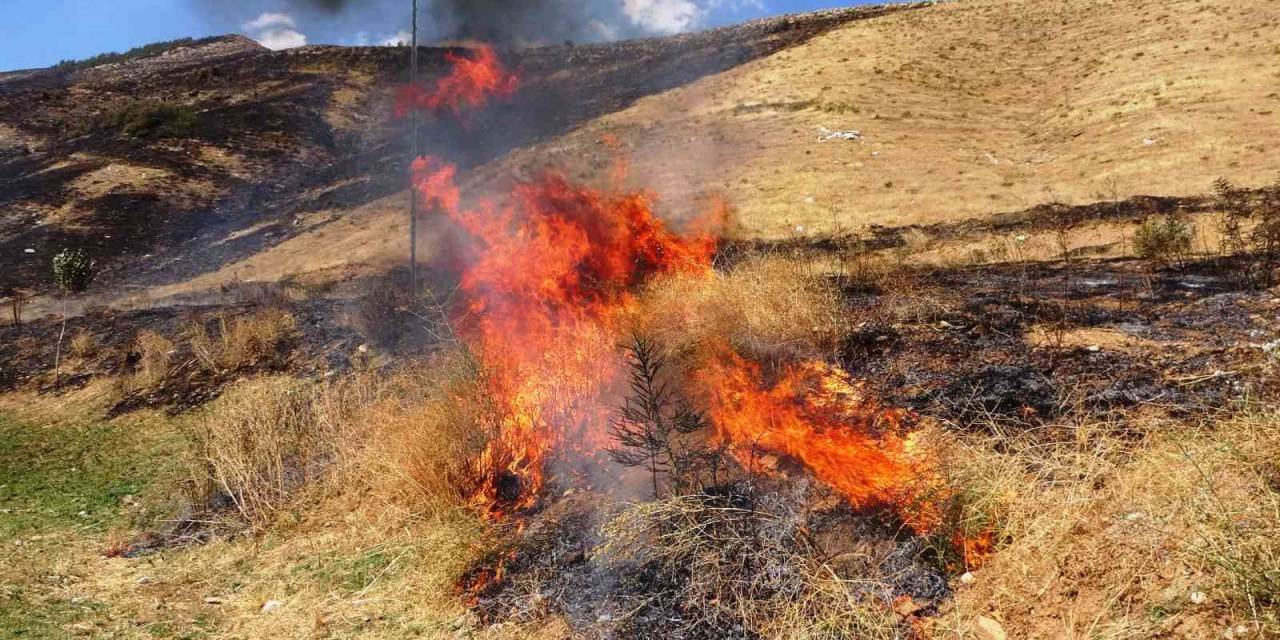 Bitlis’te 12 Hektarlık Alanda Örtü Yangını Çıktı