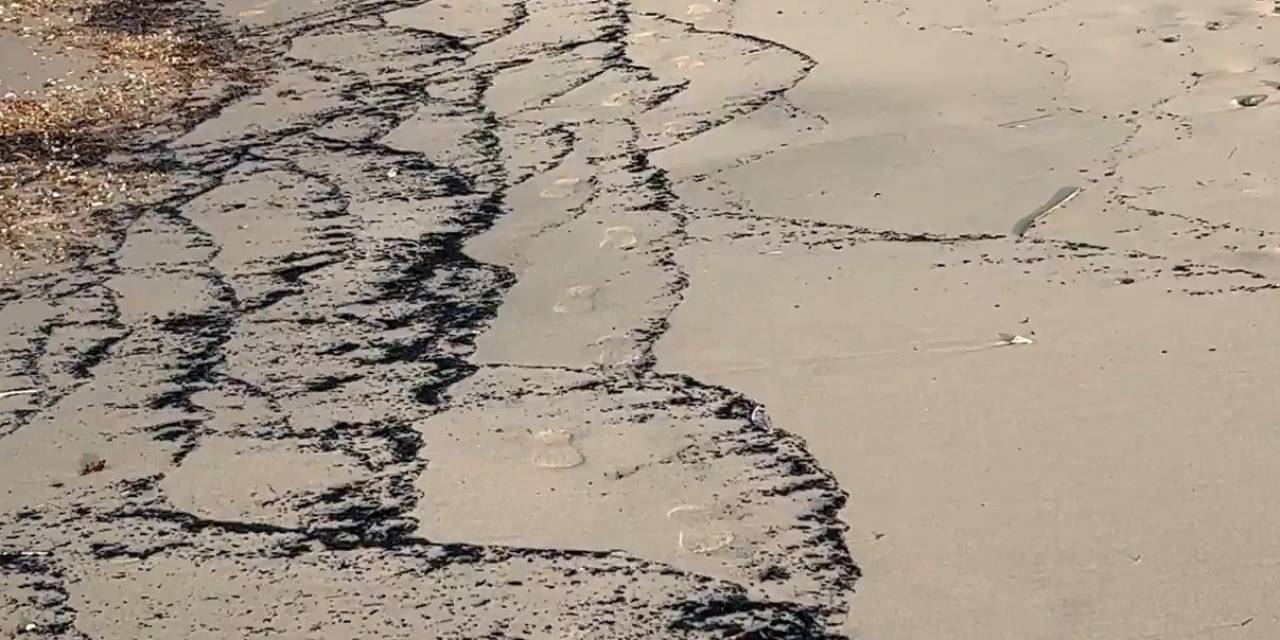 Orman Yangını Kalıntıları, Sahili Siyaha Bürüdü