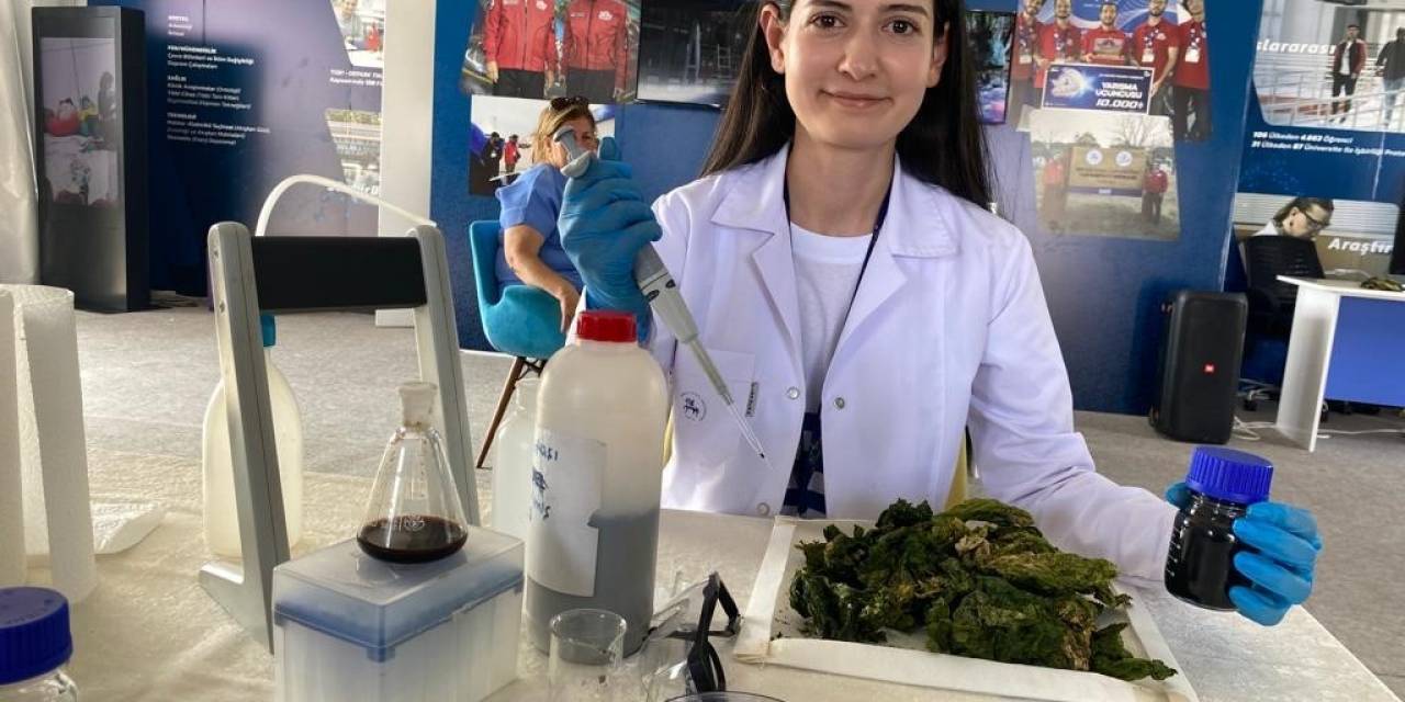 Öğrenciler, Deniz Yüzeyinde Oluşan ‘Deniz Marulları’ndan, Hidrojen Gazı Elde Ediliyor