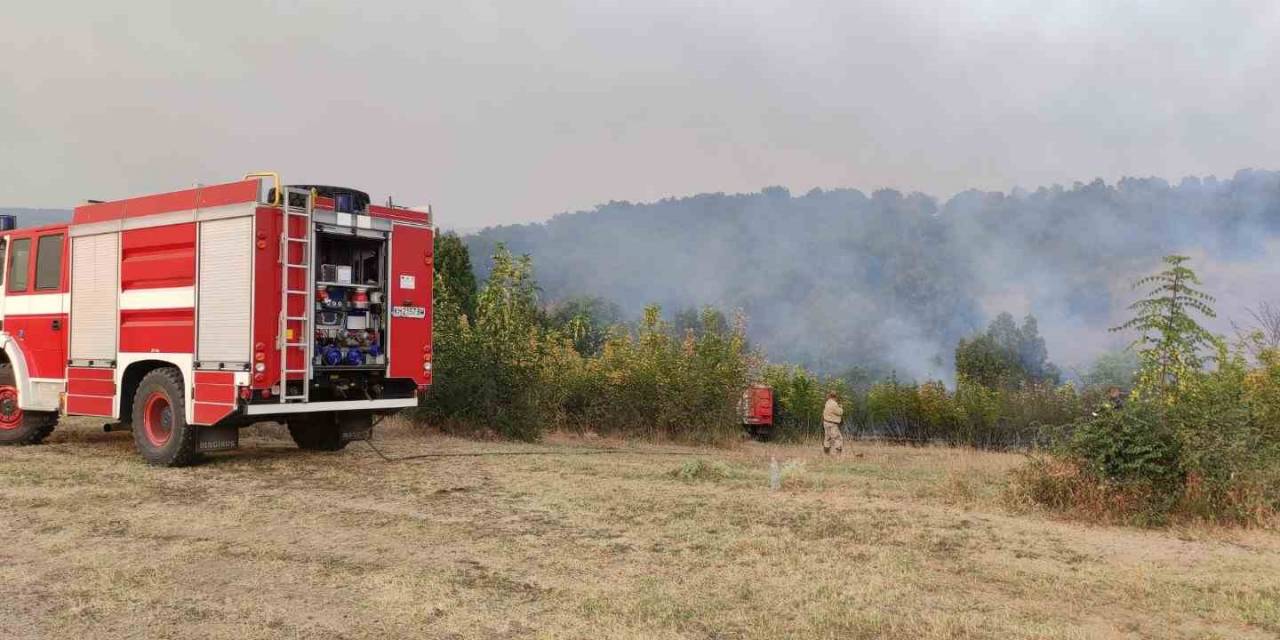 Bulgaristan-türkiye Sınırındaki Yangın Sebebiyle 2 Köy Boşaltıldı