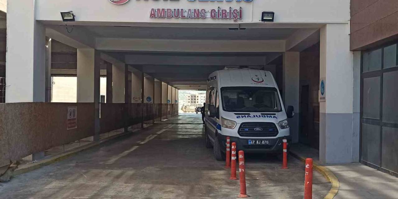 Mardin’de Tır İle Kamyonet Çarpıştı: 1 Ölü, 9 Yaralı