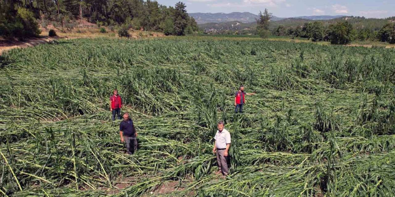 Dolu Yağışı Ürünleri Vurdu