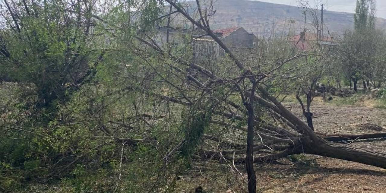 İl Özel İdaresi, Çalışmalarına Aralıksız Devam Ediyor