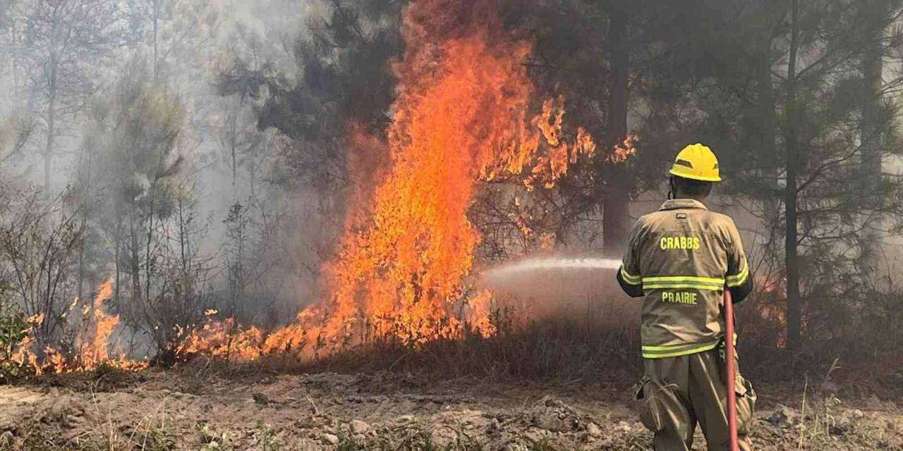 Texas’ta Orman Yangını: 4 Bin 428 Dönüm Alan Yandı
