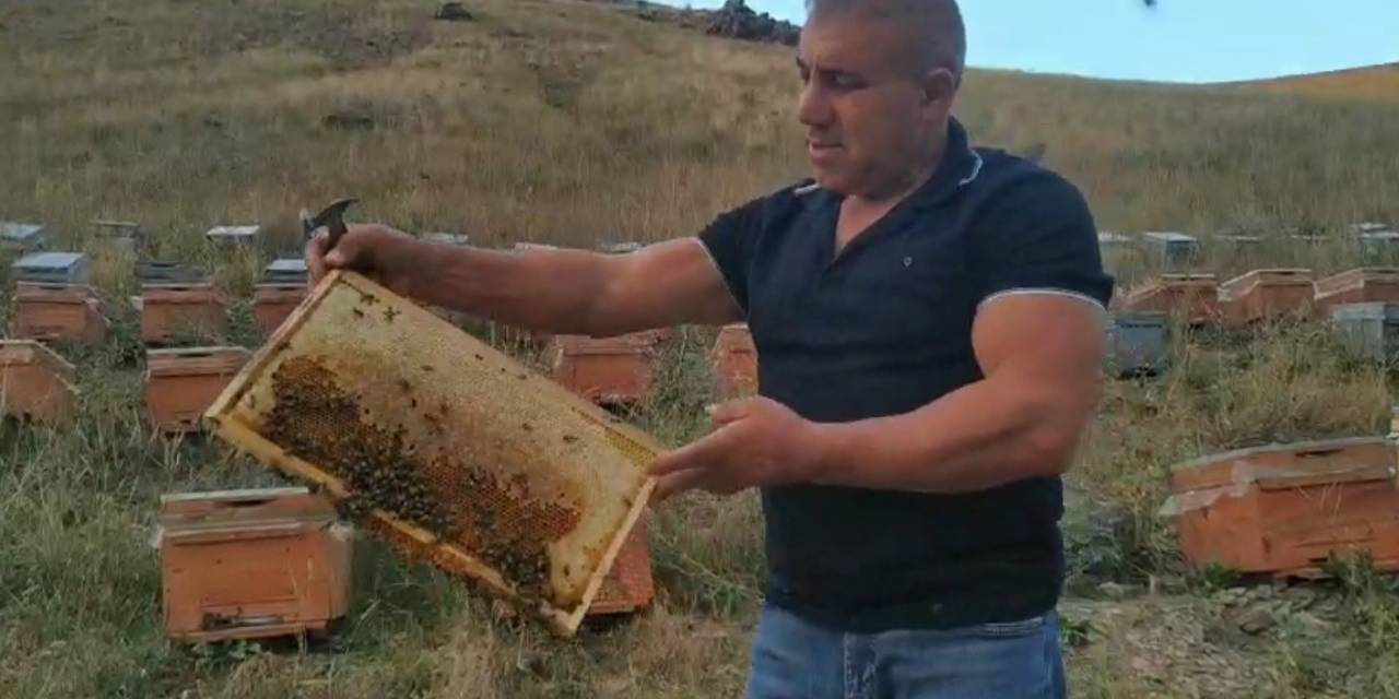 Karslı ‘Arı Adam’ Sınırları Zorluyor