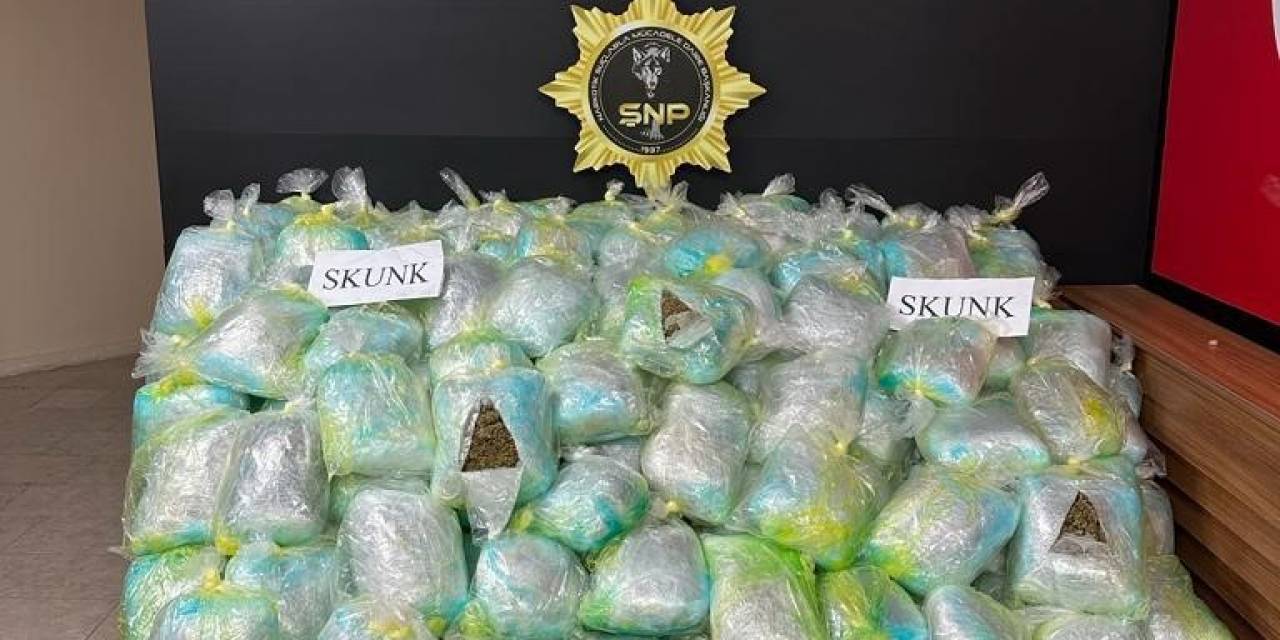 Şanlıurfa’da Uyuşturucu Operasyonu: 167 Kilogram Skunk Ele Geçirildi
