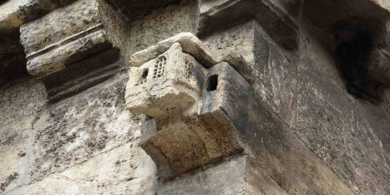 Zamana Meydan Okuyor, Ecdadın Hayvan Sevgisini Gözler Önüne Seriyor