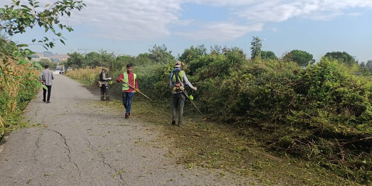 Bisiklet Yollarında Temizlik